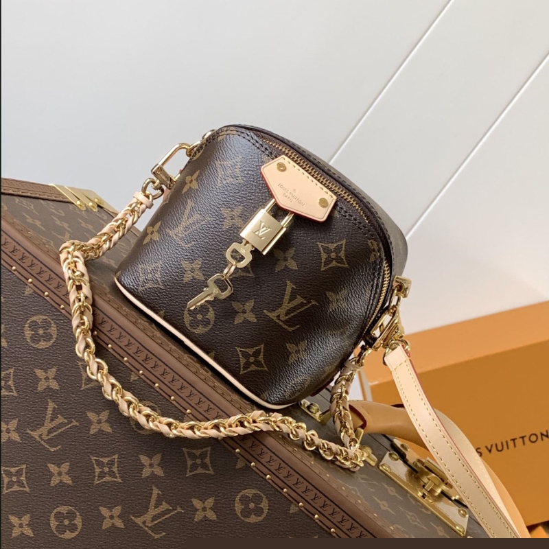 LV Satchel Bags